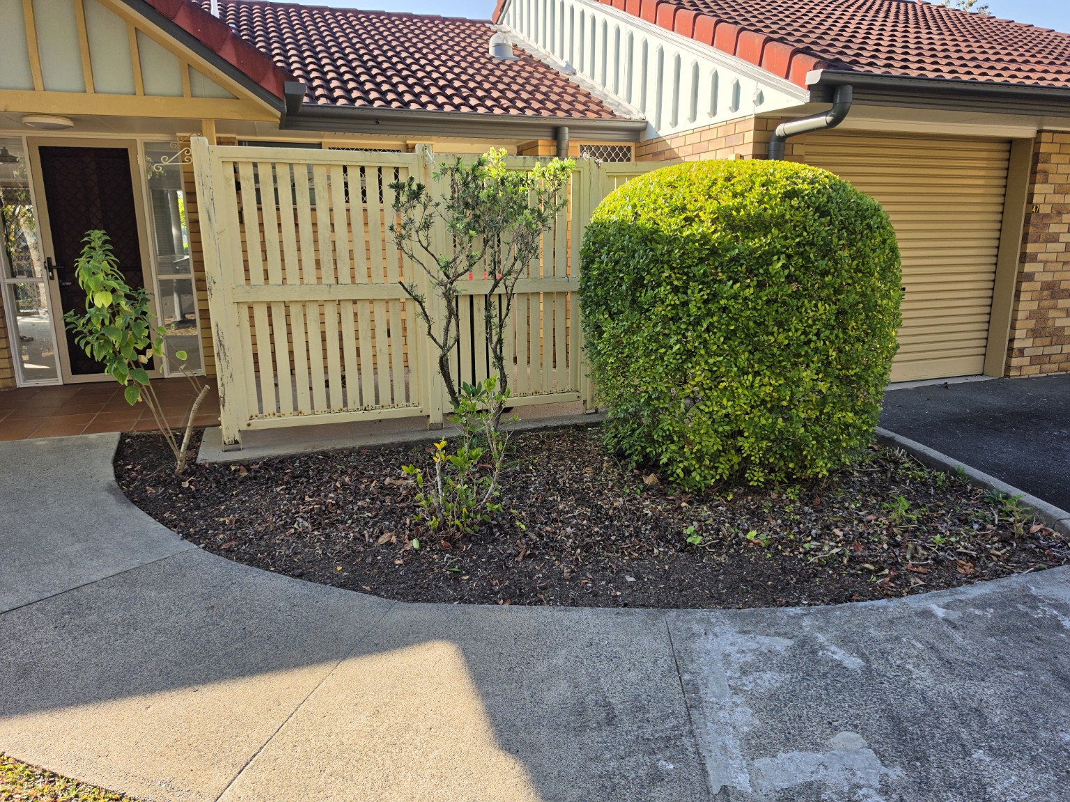 A rounded hedge beside a unit entrance and garden bed